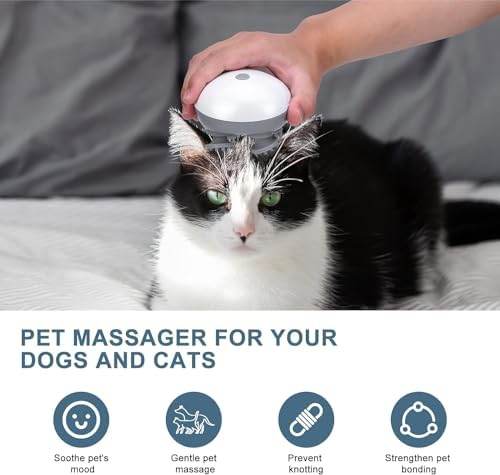 💆‍♂️ Electric Scalp Massager – Total Relaxation at Your Fingertips - SHINE